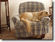 nenu� m� furt se d�vat do toho fo��ku!