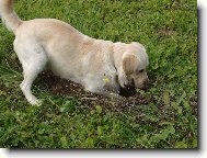 kde se� ty jedna mal� �ediv� potvoro?!?