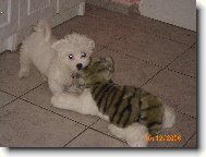 Tak takhle si hraji s tyg��kem