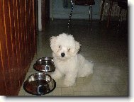 Monty r�d ba�t�:)