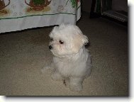 Po proch�zce v de�ti