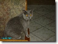 Ahoj j� jsem Frenkie.