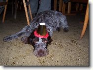 Gina v silvestrovsk�m opojen�