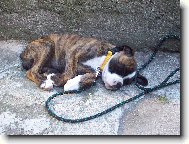 �pln� prvn� fotka tro�ku unaven� Elinky