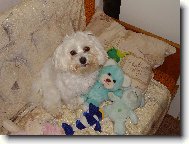 Sam��ek a jeho hra�ky