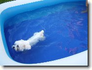 m�j mal� plavec:-))