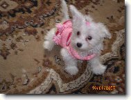 P�jdu na proch�zku