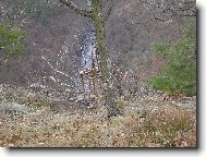 seslik v Narodnim parku Podyj�