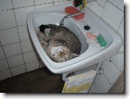 u babi�ky v umyvadle,...