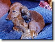 na�e mal� Nat�lka