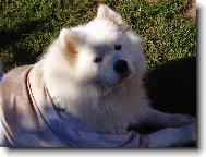 Poledn� odpo�inek