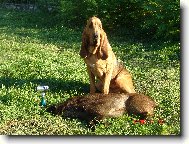 Yazoo-Zden�k v.Oude Watertoren