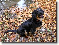 Berry z Albrechtick� samoty