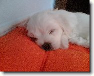 Kdy� jsem byl miminko