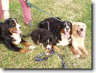 Eli�ka,Lusy,Bar�a a Fabio