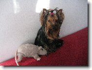 Dorinka s k�mo�kou