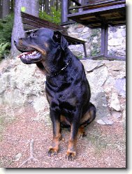 M�j nejlep�� p��tel