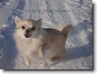 ,,Hr�tky ve sn�hu!\"