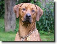 Ernie Green z Tikovick�ho vr�ku