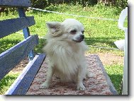 Benjamin od Svat�ho Mikul�e