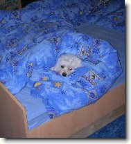 V post�lce mi je nejl�pe...