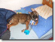 Brit m� ��ze�