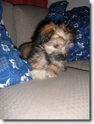 To je n� Tob�nek.