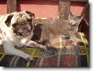 Na�e slun��ka se SLUN�!!!