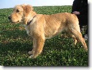 N� 5tim�s��n� fe��k Jerry:)