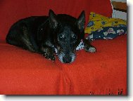 na pol�t��i je to nejlep��