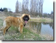 Akim Od Chuchelsk� dr�hy