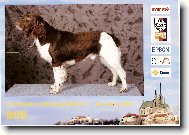 Mond od Pstri�� ���ky