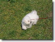 Ideme sa striha� - sk��em od radosti...