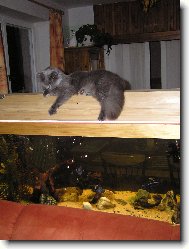 ty jsou v�echny moje