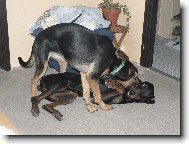 Max��ek na n�v�t�v� u tety