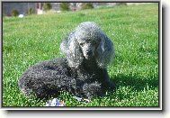 na�e desetilet� Ailinka