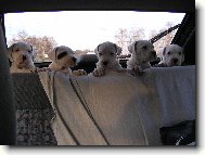 vrh D Blansk� les v aut�