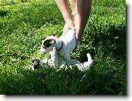 Agnes s n�hodn�m k�mo�em