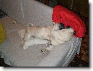 Tom s Adamem p�i hran�