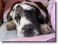 Adu�ka spink� :)