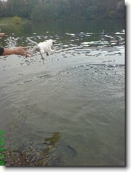 Agnes se u�� plavat