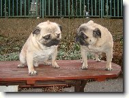 �slibuji m�mo, u� budu hodn��