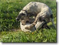 dva v jednom...Oskarek a jeho sestra meluz�na