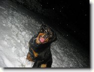 M�j prvn� sn�h