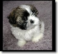 n� rodinn� mazel :-)