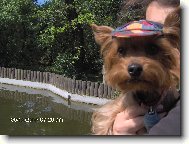 Tady m� pani�ky vzaly do lesoparku pod�vat se na zv���tka