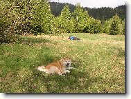 P�n i j� jsme prost� po t��e unaven�, no!