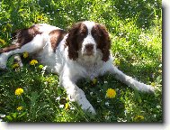 Largo z Had�ho vrchu