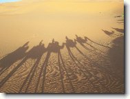 pohled z velbloud�ho h�betu