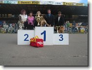 N�meck� �pic mal� - Aissi Sandir�